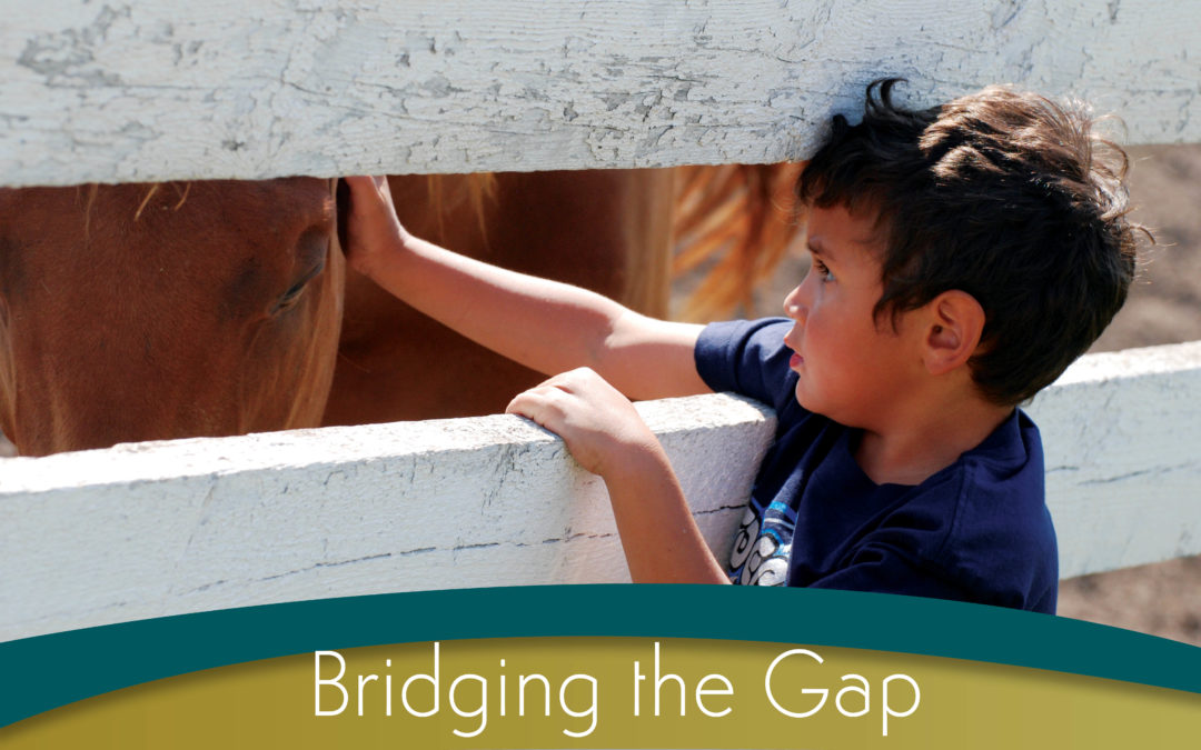 Bridging the Gap: How can we fast-track socio-economic equality for Indigenous Peoples in Canada?