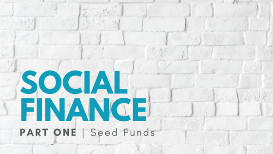 Blog Title Header. Social Finance: Part One - Seed Funds Social Finance: Part One - Seed Funds