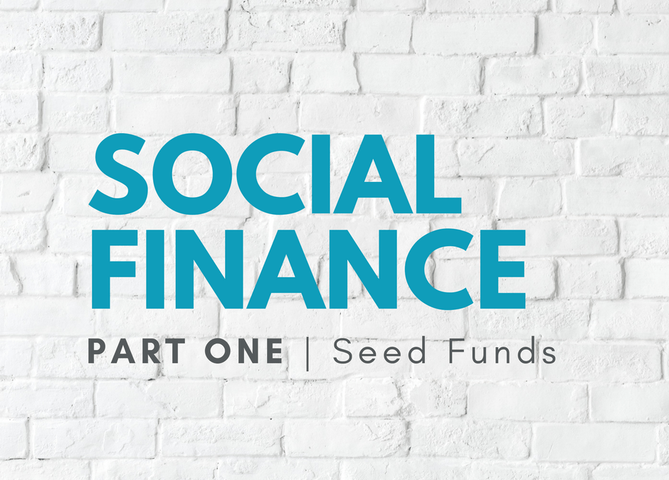 Seed Funds – Scary Territory or an Opportunity for Impact?