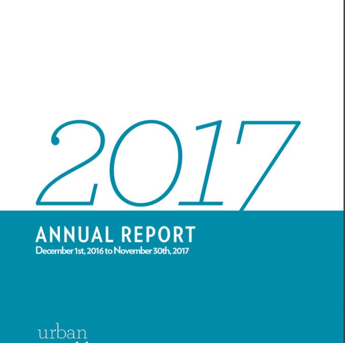 Lessons Learned in 2017 – Annual Report